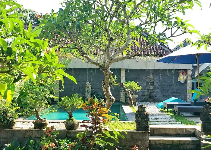 Ayu 2